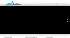 Desktop Screenshot of galtekkimya.com.tr